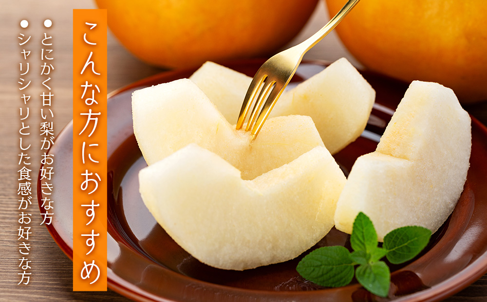 訳あり 梨 南水 4kg 8～12玉 南水梨 なし ナシ 傷 キズ 果物 くだもの フルーツ 旬の果物 旬のフルーツ 家庭用 訳アリ 信州 長野 長野県