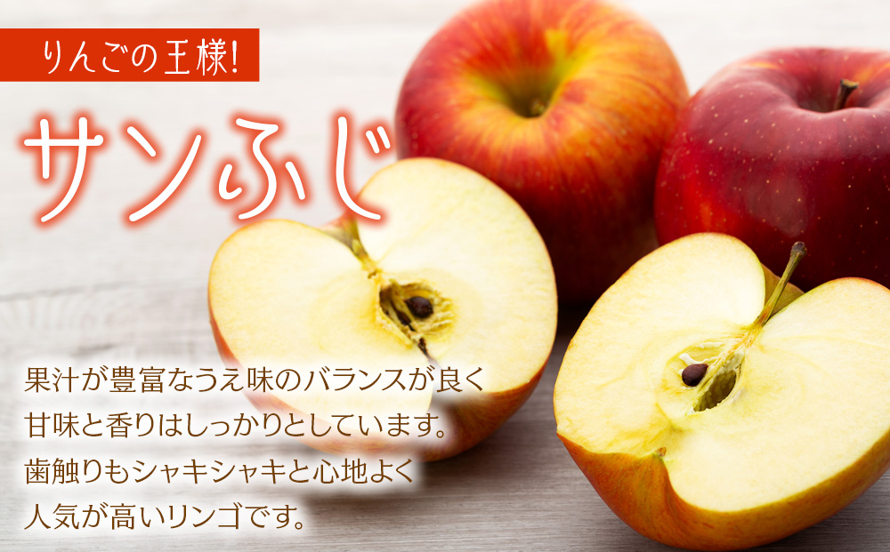 贈答用 りんご サンふじ 9kg 上伊那産 林檎 リンゴ サンフジ さんふじ 果物 くだもの フルーツ 旬の果物 旬のフルーツ ギフト 贈り物 プレゼント 信州 長野 長野県