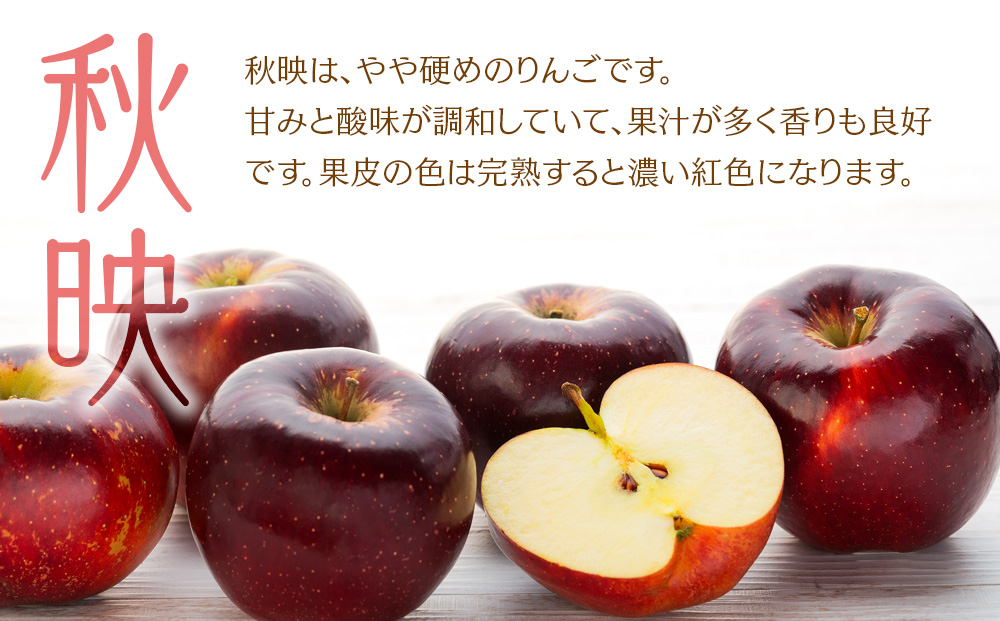 贈答用 りんご 秋映 4.5kg 16～18玉 林檎 リンゴ 果物 くだもの フルーツ 旬の果物 旬のフルーツ ギフト 贈り物 プレゼント 信州 長野 長野県