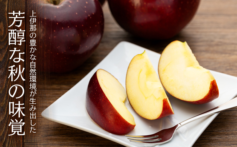 贈答用 りんご 秋映 4.5kg 16～18玉 林檎 リンゴ 果物 くだもの フルーツ 旬の果物 旬のフルーツ ギフト 贈り物 プレゼント 信州 長野 長野県