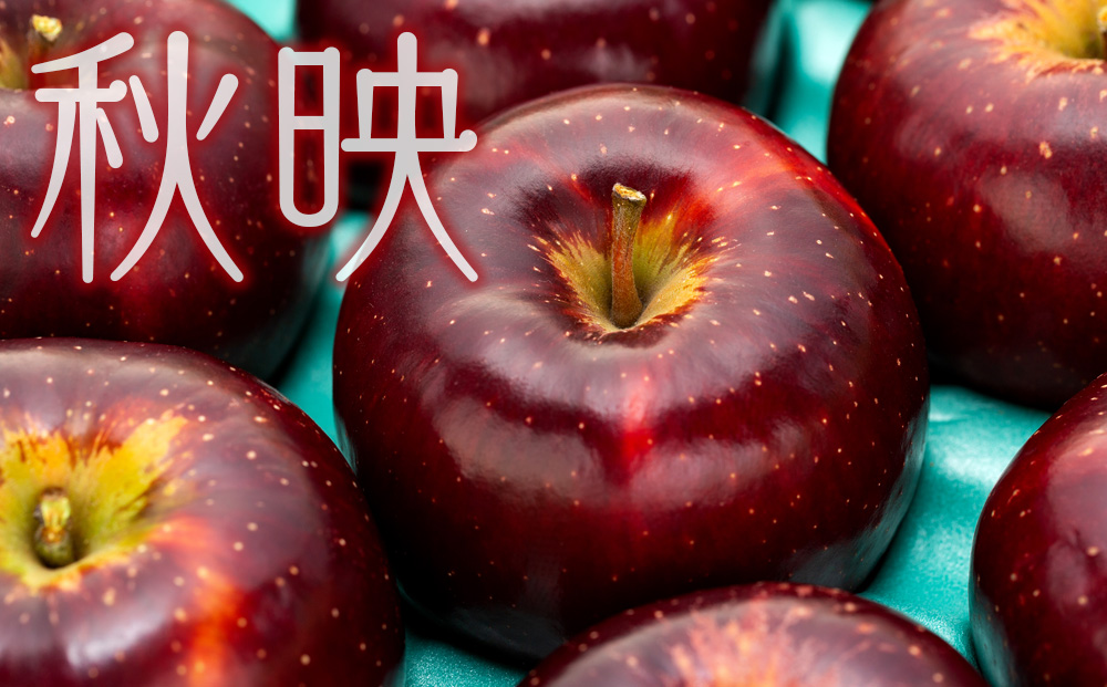 贈答用 りんご 秋映 4.5kg 16～18玉 林檎 リンゴ 果物 くだもの フルーツ 旬の果物 旬のフルーツ ギフト 贈り物 プレゼント 信州 長野 長野県