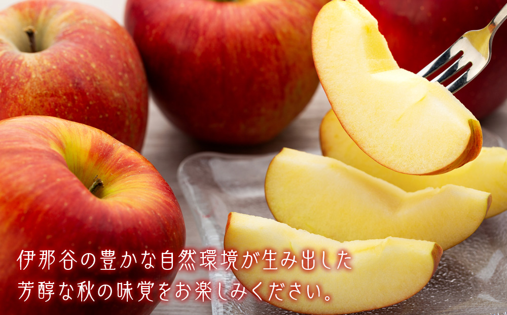 訳あり りんご サンふじ 4.5kg 16～18玉 林檎 リンゴ サンフジ さんふじ 傷 キズ 果物 くだもの フルーツ 旬の果物 旬のフルーツ 家庭用 訳アリ 信州 長野 長野県