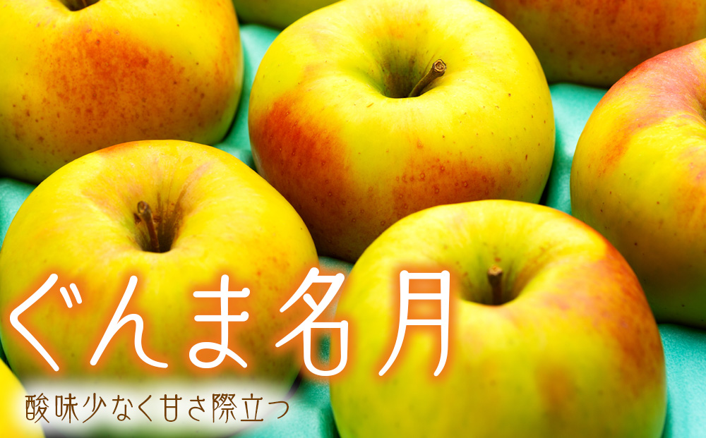 りんご ぐんま名月 4.5kg 14～18玉 贈答用 果物 くだもの フル～ツ 林檎 リンゴ ぐんま名月りんご 信州りんご 旬の果物 旬のフルーツ ギフト 贈り物 プレゼント 長野 長野県 箕輪町