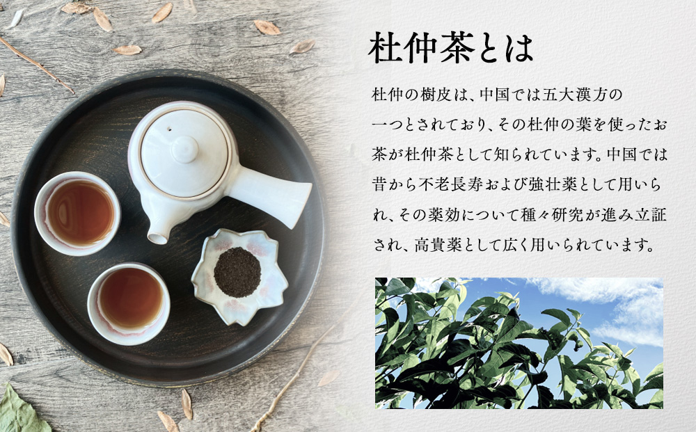 信州伊那谷謹製 杜仲茶15パック3個 100%国産杜仲茶葉 ノンカフェイン 箕輪町 お茶 お取り寄せ