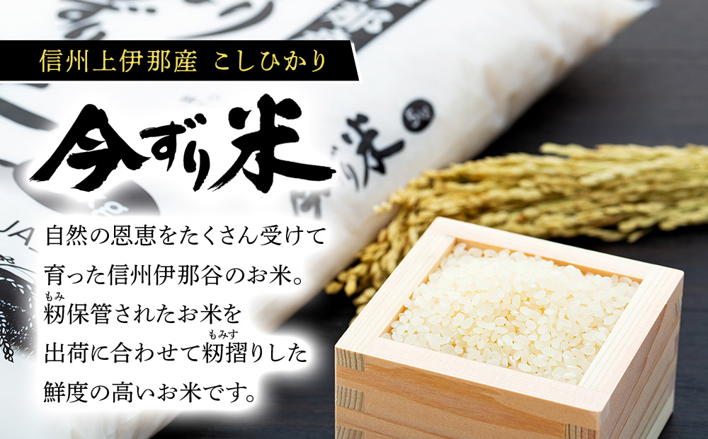 米 コシヒカリ 10kg 長野 上伊那産 お米 長野県産 こしひかり 10キロ 白米 精米 信州産 特産 産地直送 おすすめ こめ コメ おこめ 送料無料 長野県 箕輪町