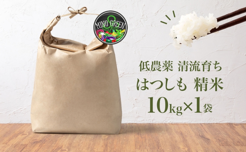 令和7年産 はつしも 精米 10kg×1袋 低農薬 清流育ち 新米 お米 白米 米 ごはん 米 ご飯 ハツシモ R7年産 あっさり ふっくら ブランド米 大粒 幻の米 お取り寄せ 産地直送 送料無料 美濃グリーン 岐阜県 美濃市