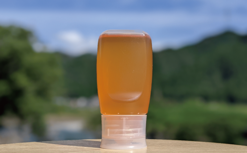 合計3600g 天然蜂蜜 国産蜂蜜 非加熱 生はちみつ 岐阜県 美濃市産 春 (蜂蜜300g入りピタッとボトル12本セット) A18 深田養蜂のハチミツ