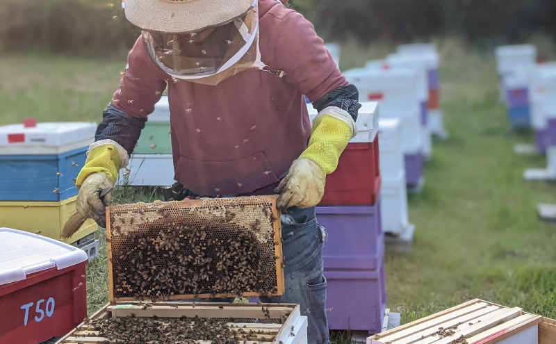 合計3600g 天然蜂蜜 国産蜂蜜 非加熱 生はちみつ 岐阜県 美濃市産 春 (蜂蜜300g入りピタッとボトル12本セット) A18 深田養蜂のハチミツ