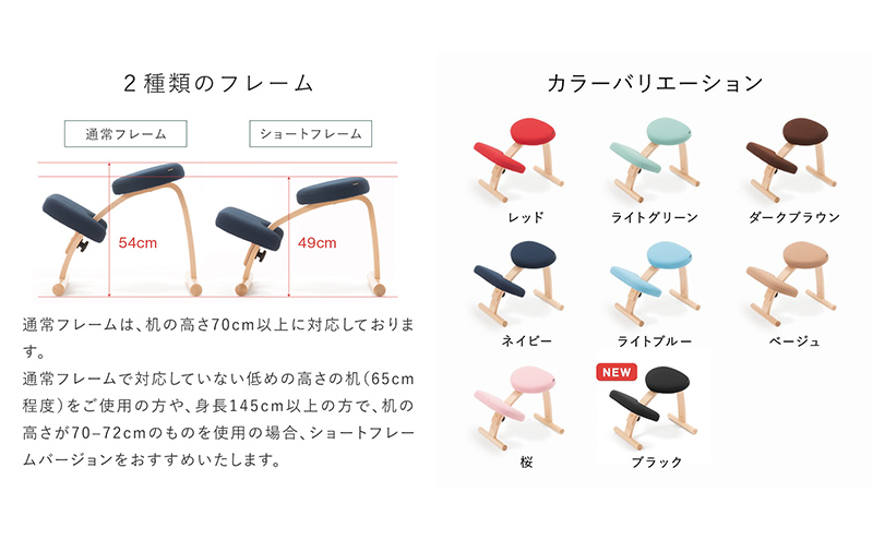 バランスイージーカバー付きとイージーライティングボードMのセット ショートブラック+カバーブラック