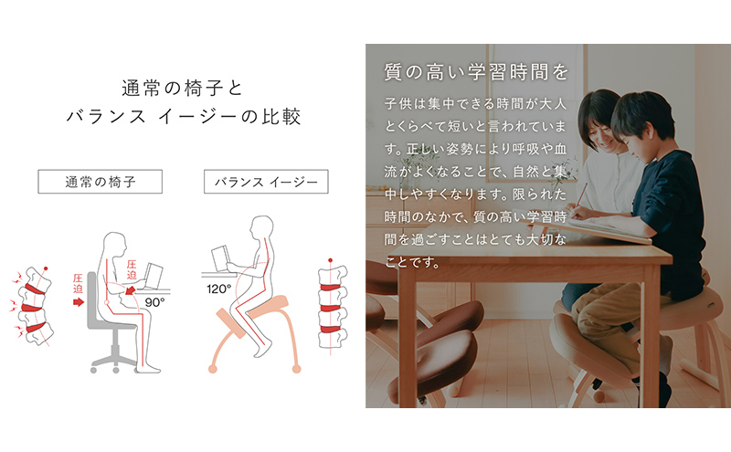 バランス イージー(カバーなし)通常:ダークブラウン