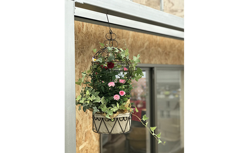 ミニバラバードゲージ　ヘデラとバラ2色寄せ植えの鳥かご 植物 　※2026年4月下旬～5月下旬頃に順次発送予定　※離島への配送不可