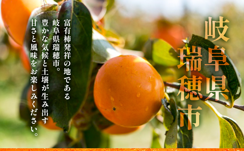 柿【贈答用】富有柿3Lサイズ × 6玉入｜かき フルーツ カキ 果物 くだもの 産地直送 岐阜県 瑞穂市 お取り寄せ ※離島への配送不可