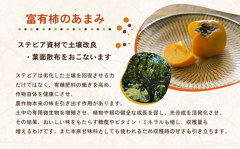 【訳アリ】はやし柿園のご家庭用 富有柿 M～2Lサイズ 7kg｜高糖度 濃厚 秋の味覚 ご自宅用 ご家庭用 ※離島への配送不可