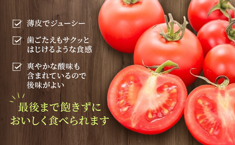 高糖度「ほれトマト」3kg　太陽の恵みをたっぷりもらった糖度10度以上の極上ミニトマト 瑞穂市 お取り寄せ 野菜【予約販売】 [№5787-1066]　※2025年6月下旬～9月上旬頃に順次発送予定　※離島への配送不可