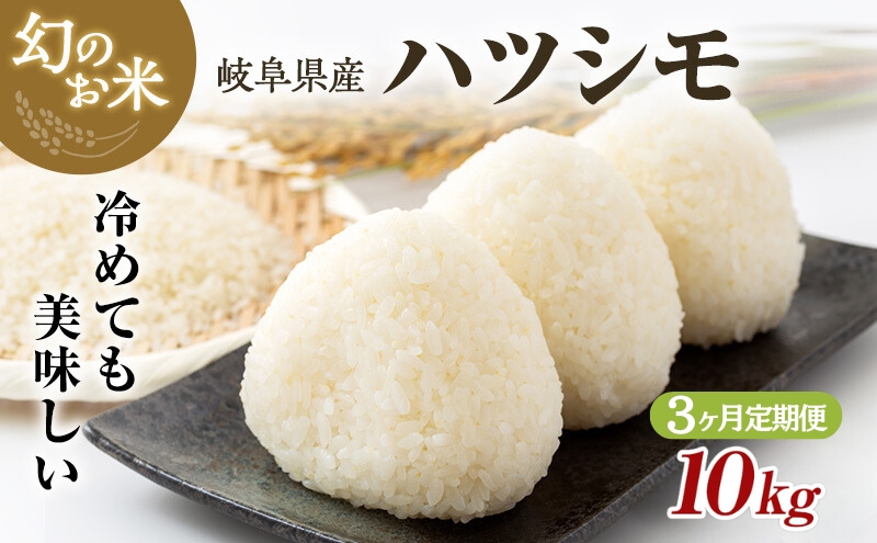 定期便】岐阜県産 ハツシモ 10kg (3ヵ月連続お届け) 米 お米