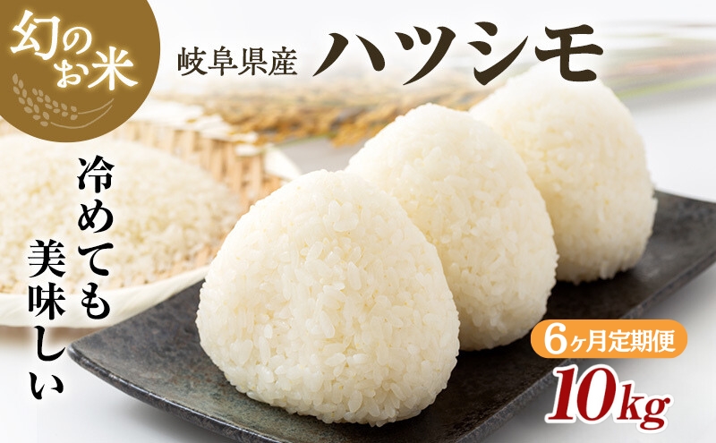 【定期便】岐阜県産 ハツシモ 10kg (6ヵ月連続お届け)｜米 お米 コメ 白米 精米 ハシツモ 定期便 岐阜 瑞穂市 ※離島への配送不可 ※2025年11月下旬頃より順次発送予定