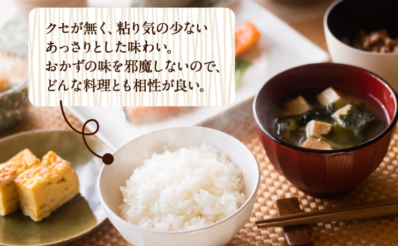 R7年産 特選米 ハツシモ 精米 10kg ×1袋 お米 米 白米 ごはん 新米 精白米 ご飯 はつしも 令和7年産 ブランド米 低農薬 お取り寄せ 産地直送 クリーンファームまき 送料無料 岐阜県 安八町