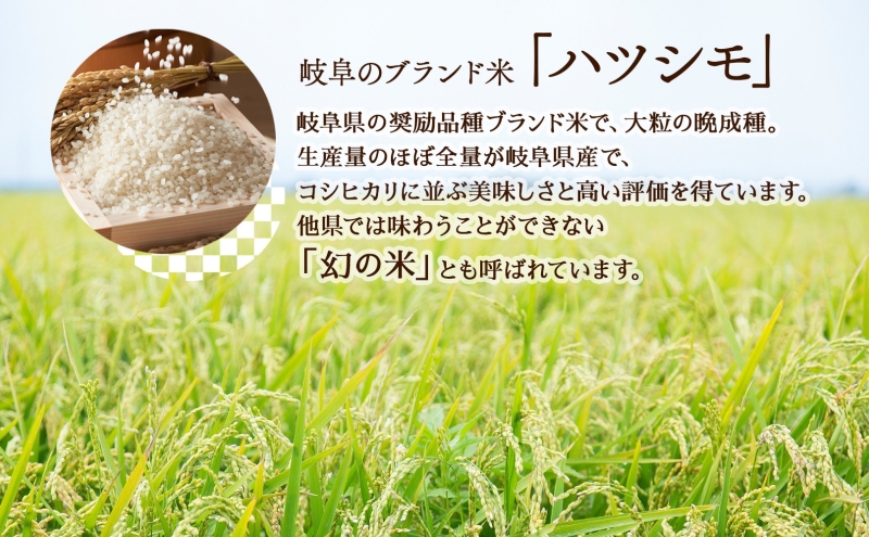 R7年産 特選米 ハツシモ 精米 10kg ×1袋 お米 米 白米 ごはん 新米 精白米 ご飯 はつしも 令和7年産 ブランド米 低農薬 お取り寄せ 産地直送 クリーンファームまき 送料無料 岐阜県 安八町