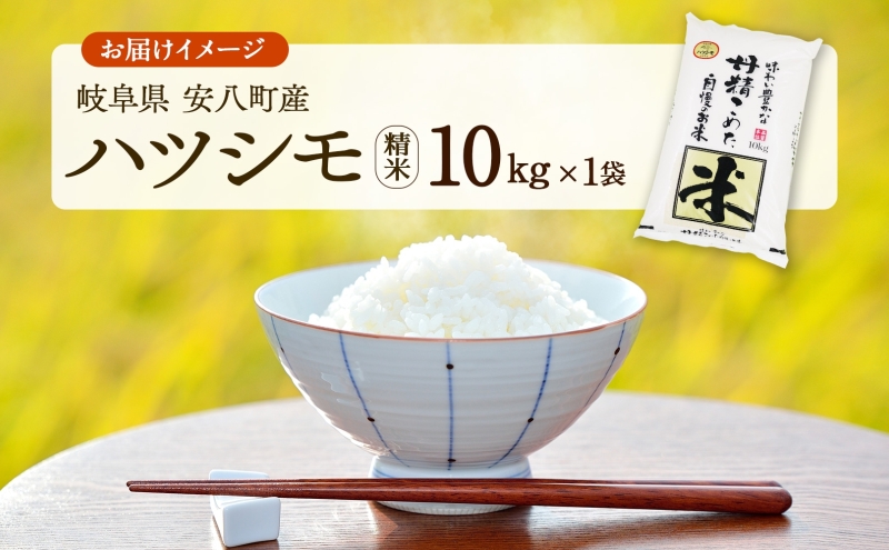 R7年産 特選米 ハツシモ 精米 10kg ×1袋 お米 米 白米 ごはん 新米 精白米 ご飯 はつしも 令和7年産 ブランド米 低農薬 お取り寄せ 産地直送 クリーンファームまき 送料無料 岐阜県 安八町