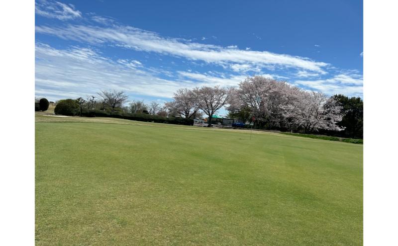 あんぱちパブリックゴルフクラブ利用券 11000円 チケット クーポン 利用権 スポーツ ゴルフ ゴルフ場 プレーチケット あんぱちパブリックゴルフクラブ 安八町 岐阜県