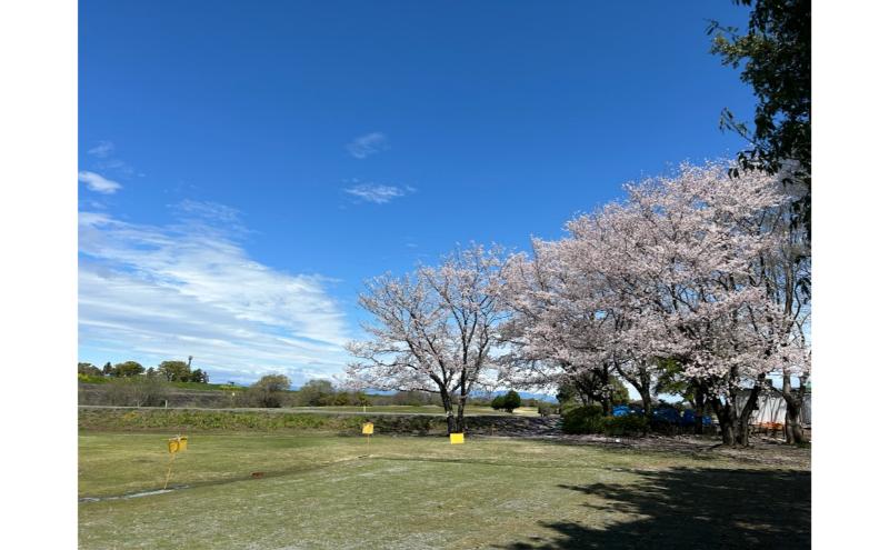 あんぱちパブリックゴルフクラブ利用券 22000円 チケット クーポン 利用権 スポーツ ゴルフ ゴルフ場 プレーチケット あんぱちパブリックゴルフクラブ 安八町 岐阜県