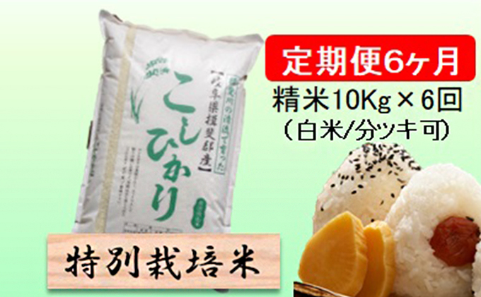 特別栽培米★[定期便] 6カ月★毎月 精米10kg（白米/7分/5分ツキ可）【コシヒカリ】　玄米は別に出品 お米 令和7年産 王様 モチモチ 艶 食感 バランス 安心 安全 美味しい
