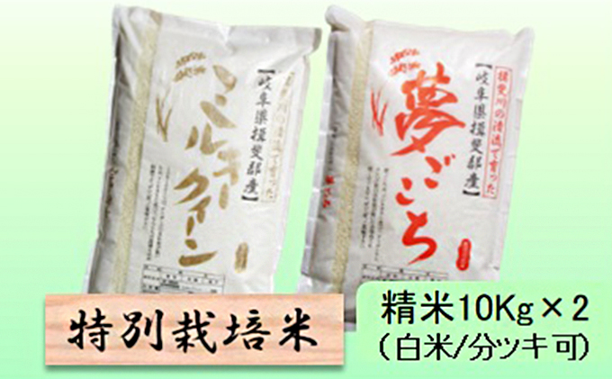 特別栽培米★精米20kg（白米/5分/7分ツキ可）【ミルキークイーン・夢ごこち】 玄米は別に出品　5分ヅキ
