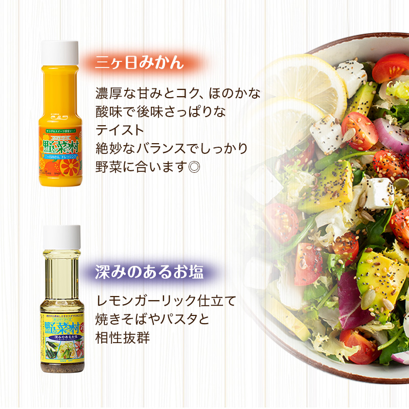 ドレッシング 5種 Aセット 1977年創業 野菜村 各300ml 5本 野菜村ドレッシング セット 詰め合わせ 和風 胡麻ドレッシング みかんドレッシング 調味料 調味料セット サラダ ギフト 贈り物 プレゼント 静岡 静岡県 浜松市