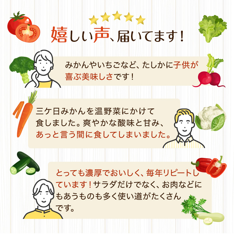 野菜村　５種Ｂセット