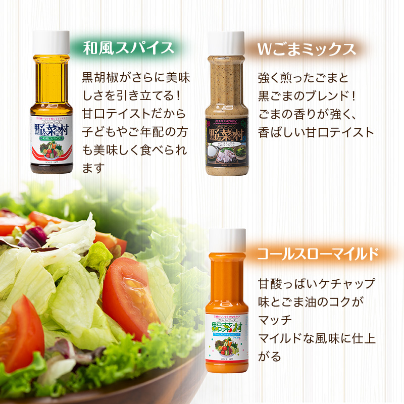 野菜村　５種Ｂセット