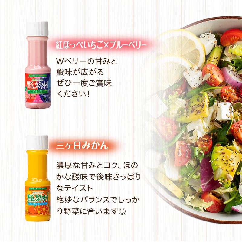 野菜村　５種Ｂセット