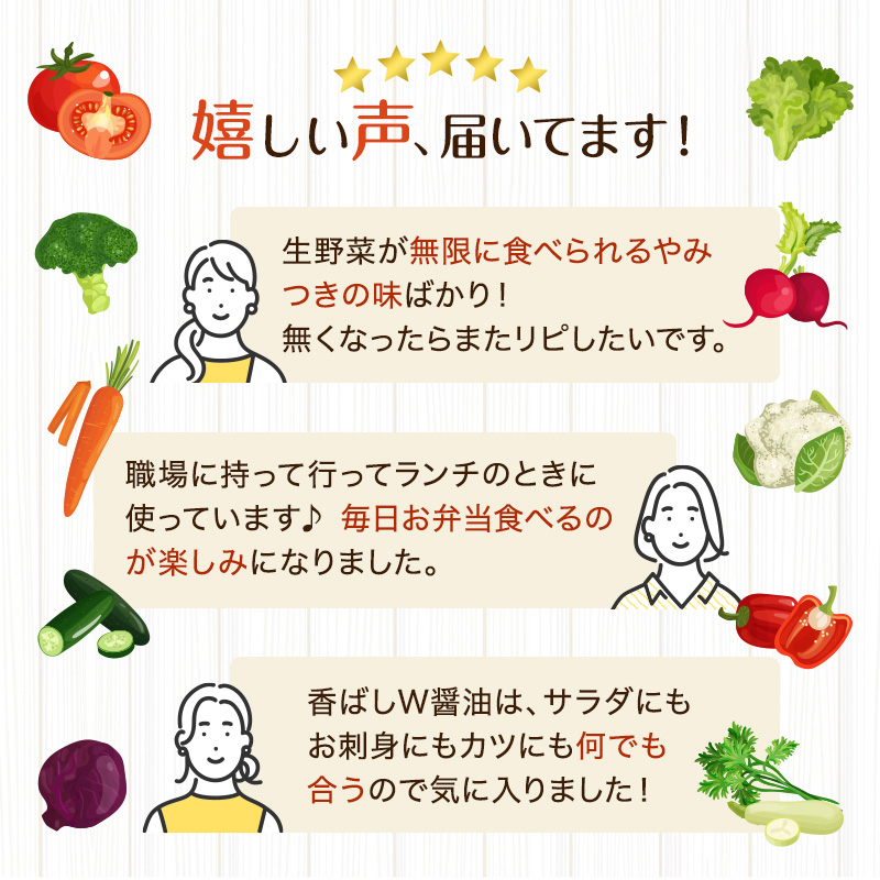 ドレッシング ミニボトル コレクション 100ml 14種 セット 詰め合わせ 野菜村ドレッシング 野菜村 ドレッシングボトル 調味料 調味料セット 食べ比べセット 食べ比べ 小分け ギフト おしゃれ 静岡 静岡県 浜松市