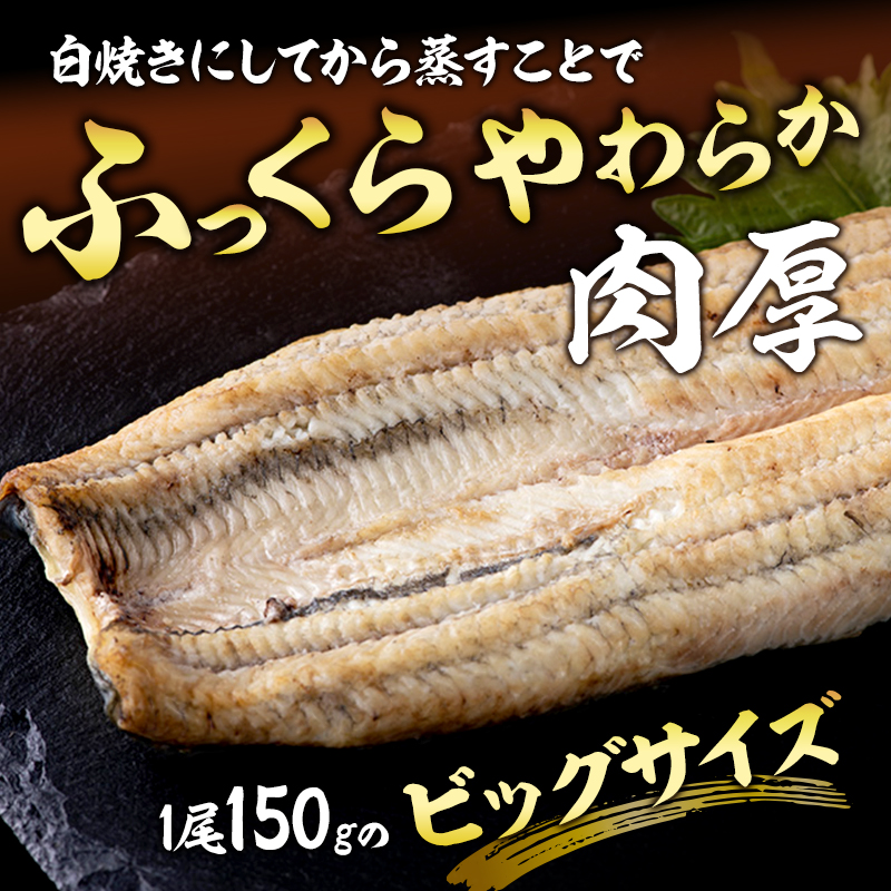 うなぎ 浜名湖 国産 長 白焼 2尾 小分け セット 浜名湖うなぎ 白焼き 浜名湖産 国産うなぎ 惣菜 おかず ギフト 贈答 贈答用 贈答品 土用の丑の日 丑の日 ウナギ 鰻 蒲焼き うなぎ蒲焼 真空パック 冷蔵 冷蔵配送 静岡 静岡県 浜松市 配送不可：離島