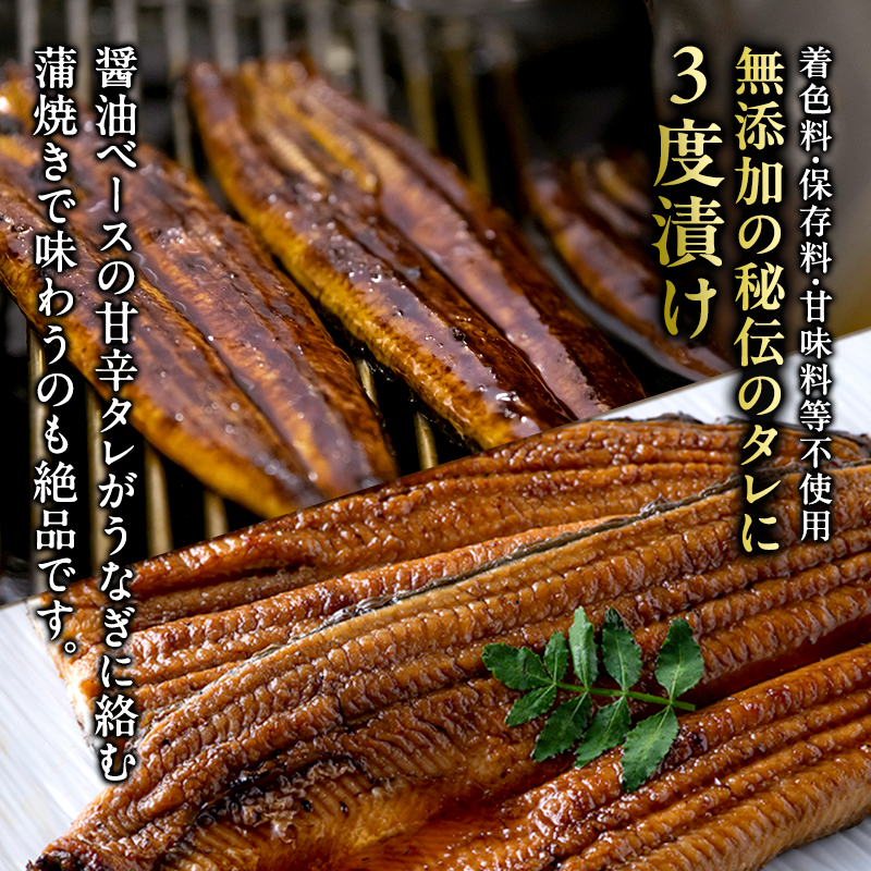 うなぎ 浜名湖 国産 うなぎ蒲焼 ＆ 白焼 計10尾 小分け 詰め合わせ 鰻 蒲焼 白焼き 食べ比べ 浜名湖うなぎ 浜名湖産 国産うなぎ 惣菜 おかず ギフト 贈答 贈答品 土用の丑の日 丑の日 真空パック 冷蔵 冷蔵配送 静岡 静岡県 浜松市 配送不可：離島