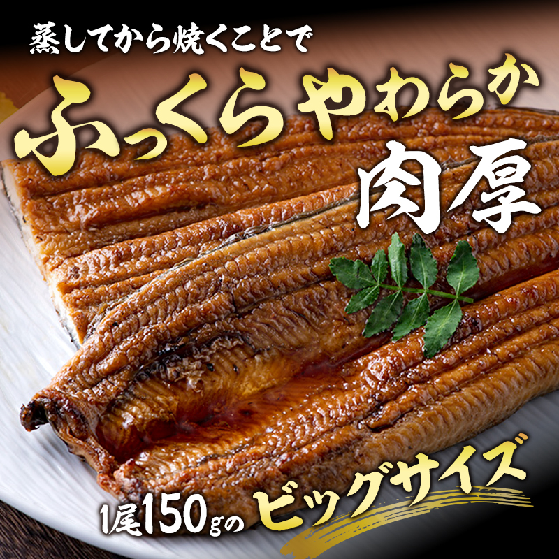 うなぎ 浜名湖 国産 うなぎ蒲焼 ＆ 白焼 計8尾 小分け 詰め合わせ 鰻 蒲焼 白焼き 食べ比べ 浜名湖うなぎ 浜名湖産 国産うなぎ 惣菜 おかず ギフト 贈答 贈答品 土用の丑の日 丑の日 真空パック 冷蔵 冷蔵配送 静岡 静岡県 浜松市 配送不可：離島