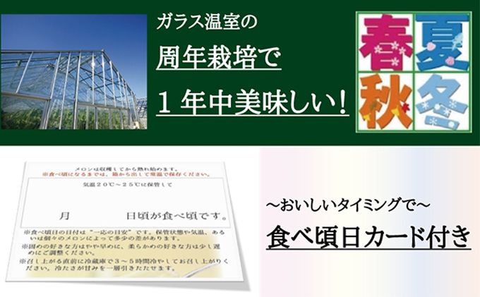 メロン 定期便 3ヶ月 クラウンメロン 白等級 1玉 フルーツ 果物 高級フルーツ 高級果物 季節のフルーツ 季節の果物 旬のフルーツ 旬の果物 フルーツ定期便 くだもの定期便 マスクメロン 青肉 静岡メロン 静岡県 浜松市 3回 定期 【配送不可：離島】