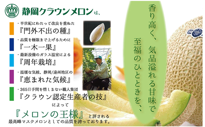 クラウンメロン 定期便 6ヶ月 極み メロン 1玉 マスクメロン めろん 果物 フルーツ 旬の果物 高級フルーツ 6回 静岡 静岡県 浜松市 【配送不可：離島】