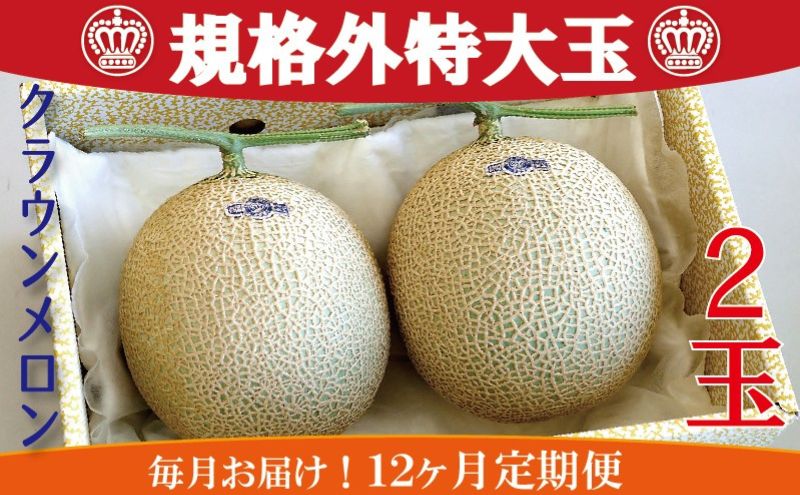 クラウンメロン 規格外特大玉 2玉入 【毎月お届け12ヶ月定期便】【配送不可：離島】 果物 フルーツ デザート おやつ おもてなし ブランド 温室 温室育ち 濃厚 超特大サイズ 静岡県産 浜松市産 半年