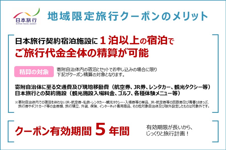 静岡県浜松市　日本旅行　地域限定旅行クーポン300,000円分 チケット