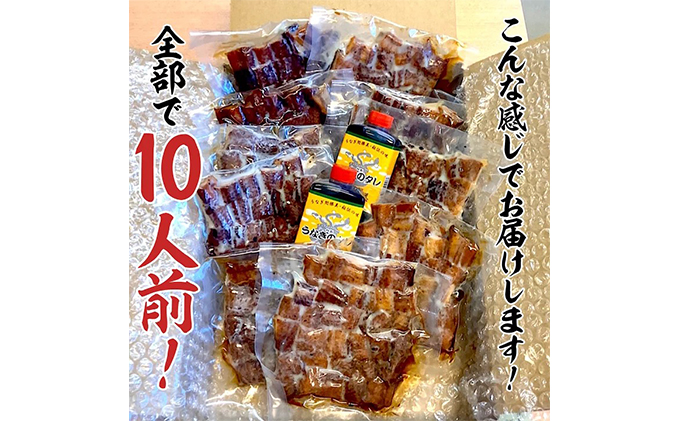 訳あり 国産 きざみうなぎ 900g (90g×10袋) タレ 75ml×2 山椒付 セット 詰め合わせ 国産うなぎ 刻み 国産刻み鰻 うなぎ ウナギ 鰻 魚介 魚介類 惣菜 お惣菜 小分け 簡単調理 個包装 勝美 静岡うなぎ 浜名湖うなぎ 訳アリ 静岡 静岡県 浜松市