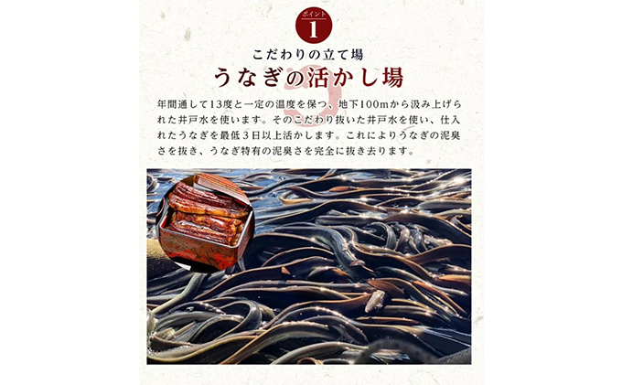 国産 うなぎ 蒲焼き 3種 セット 長焼き 160g 1尾 カット 80g きざみ 90g タレ 75ml 山椒付 詰め合わせ 国産うなぎ うなぎの蒲焼 鰻 魚介 魚介類 惣菜 お惣菜 小分け 簡単調理 個包装 勝美 静岡うなぎ 浜名湖うなぎ 静岡 静岡県 浜松市
