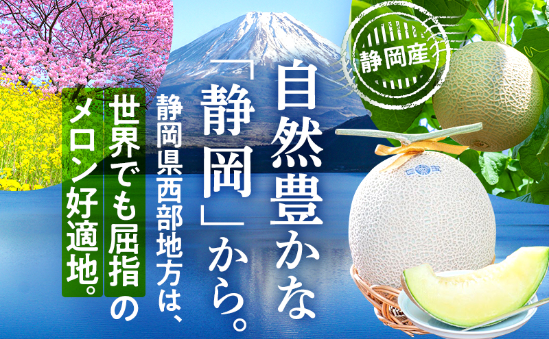 クラウンメロン 白等級 1.3kg前後 1玉入り マスクメロン フルーツ 果物