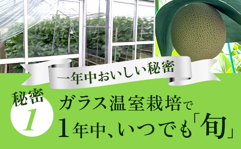 【3ヶ月定期便】クラウンメロン 白等級 1.3kg前後 1玉入り 果物類 メロン青肉 3回 フルーツ