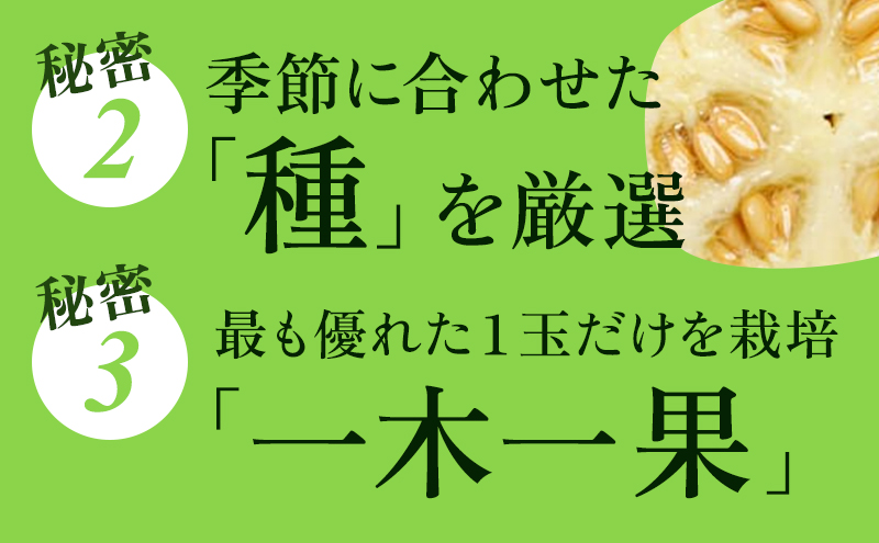 【3ヶ月定期便】クラウンメロン 白等級 1.3kg前後 1玉入り 果物類 メロン青肉 3回 フルーツ