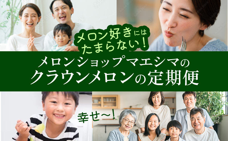 【12ヶ月定期便】クラウンメロン【並（白等級）】小玉（1.1kg前後）2玉入り
