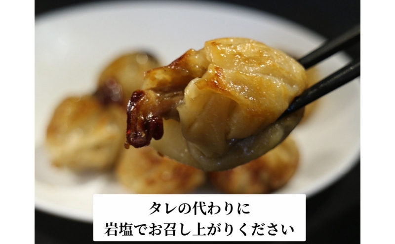 浜松餃子 うなぎパワー餃子 60個（10個入×6袋） 【配送不可：離島】 餃子 ぎょうざ 冷凍 惣菜 冷凍餃子 新感覚 お酒が進む ご飯が進む 岩塩 うなぎスープが溢れ出す 贅沢 肝の歯ごたえ