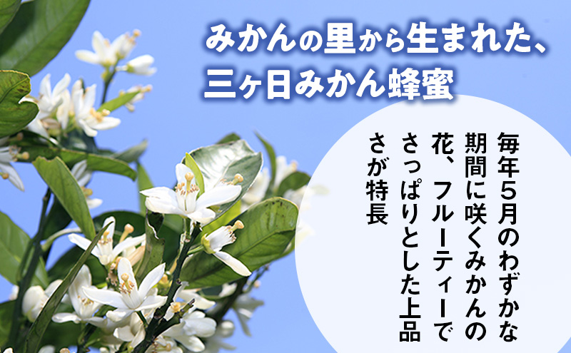 三ヶ日みかん蜂蜜450gボトル 2本セット はちみつ 蜂蜜 ハチミツ みかん みかん蜂蜜 フルーティー さっぱり 上品 ミツバチ 純粋はちみつ 長坂養蜂場 国産 静岡 浜松市 三ヶ日町