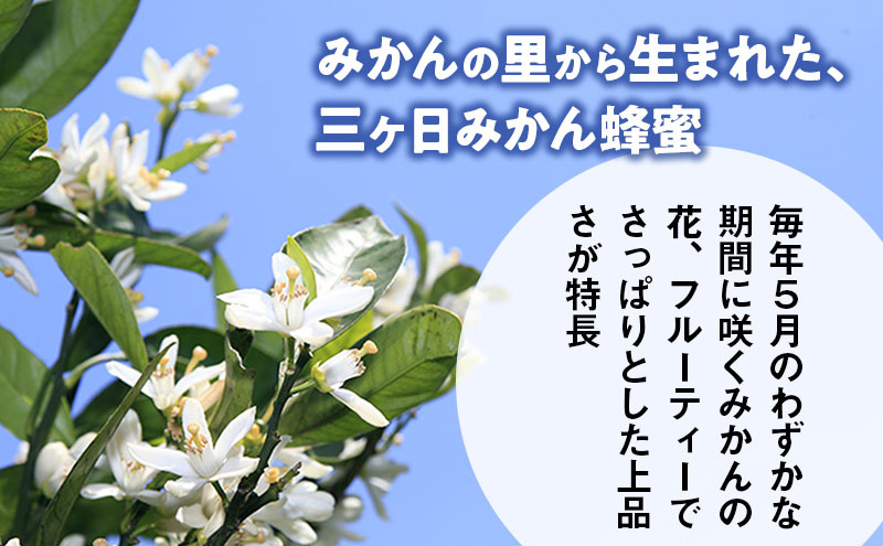 三ヶ日みかん蜂蜜450gボトル 3本セット はちみつ 蜂蜜 ハチミツ みかん みかん蜂蜜 フルーティー さっぱり 上品 ミツバチ 純粋はちみつ 長坂養蜂場 国産 静岡 浜松市 三ヶ日町