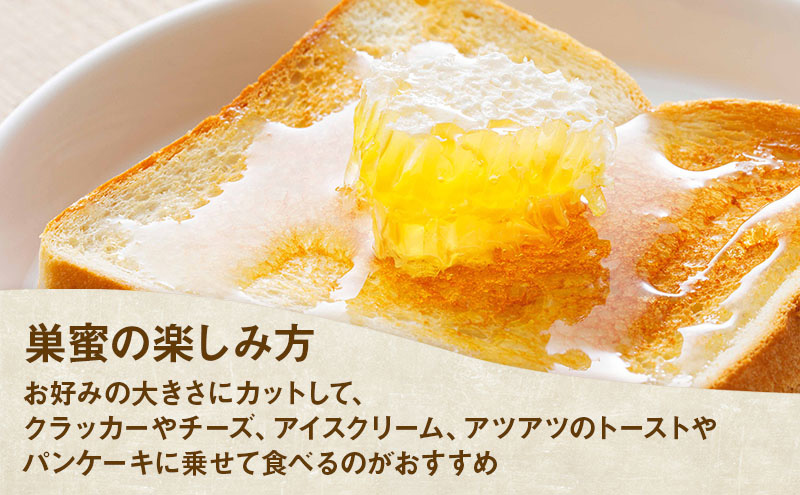 ラグジュアリーコムハニー 三ヶ日みかん完熟巣蜜【カットタイプ】 はちみつ 蜂蜜 巣蜜 ミツバチ 巣のまま 柑橘系の香り 上品な甘さ 贈り物 国産 静岡 浜松市 三ヶ日町