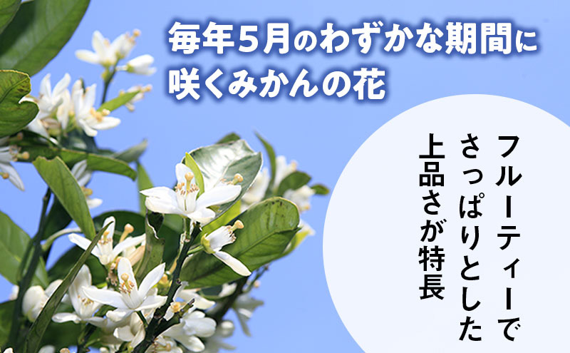 ラグジュアリーコムハニー 三ヶ日みかん完熟巣蜜【1枚タイプ】 はちみつ 蜂蜜 巣蜜 ミツバチ 巣のまま 柑橘系の香り 上品な甘さ 贈り物 国産 静岡 浜松市 三ヶ日町